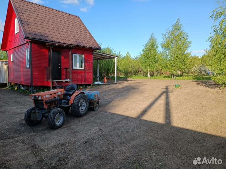 Устройство газона, из микроклевера, из мятлика