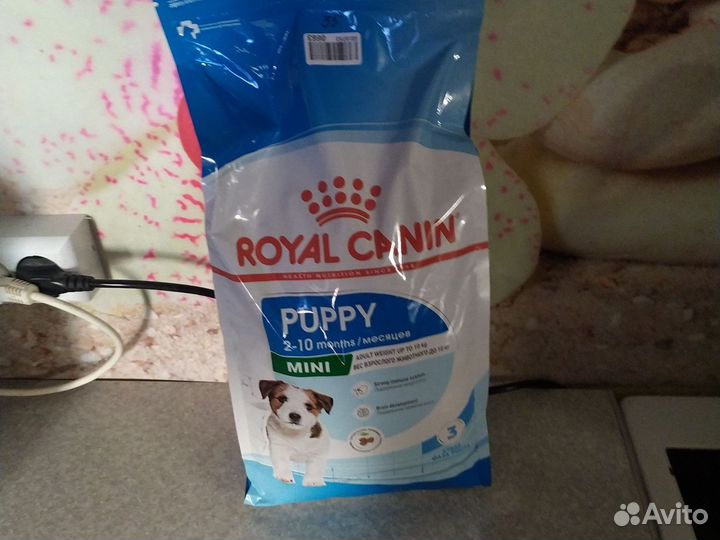 Корм для щенков мелких пород