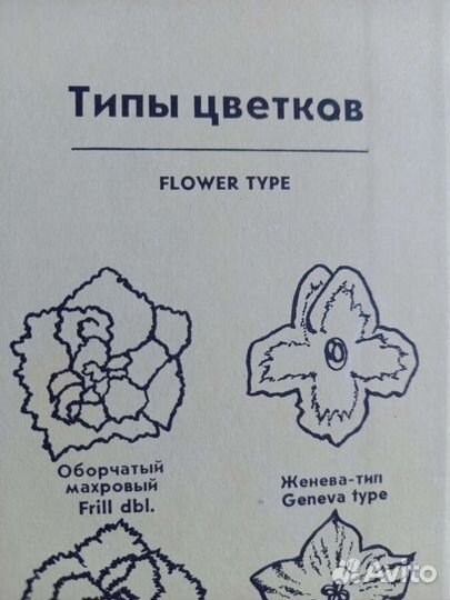 Книга о фиалках