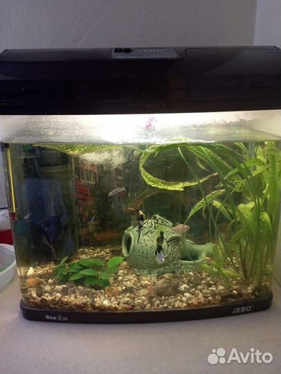Аквариум jebo R352