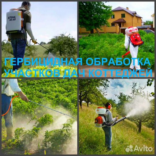 Дезинфекция