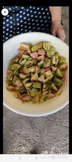 Помидоры розовые опт