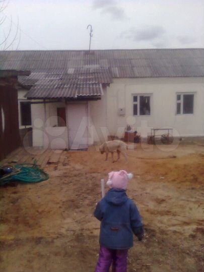 Дом 125 м² на участке 15 сот.