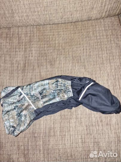 Одежда для собак