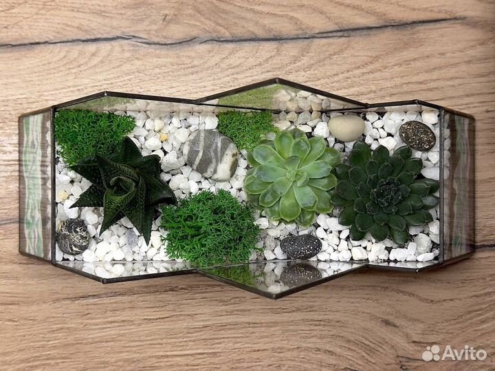 Флорариум 