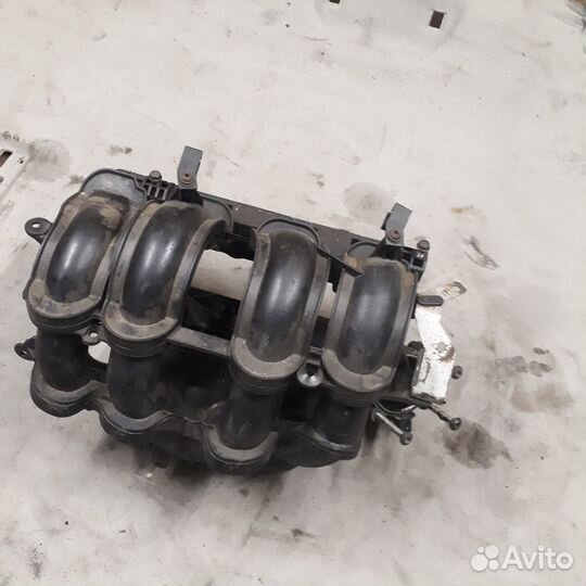 Коллектор впускной Форд Фокус 2 1.6