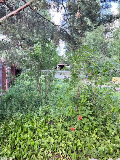 Дом 320 м² на участке 7,4 сот.