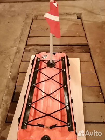 Подводная охота плотик