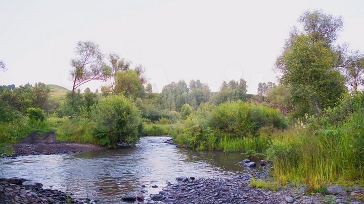 Участок 55,5 га (СНТ, ДНП)