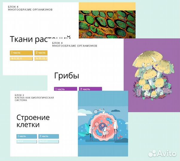 Репетитор по биологии огэ и егэ онлайн
