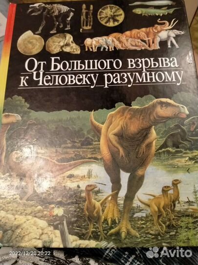 Детская энциклопедия