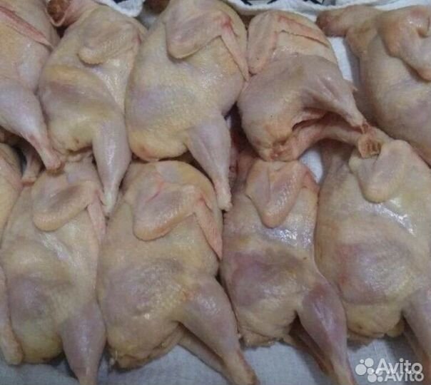 Мясо перепелов