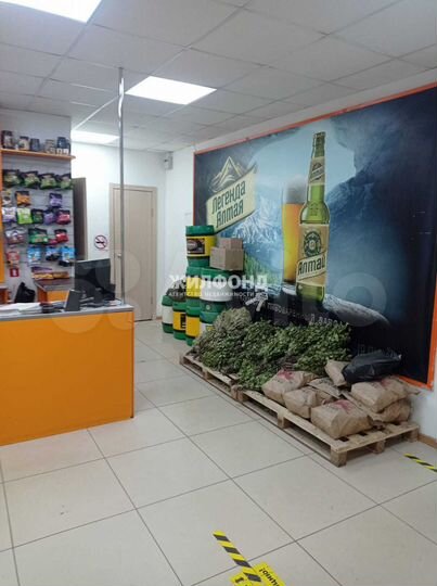 Сдам помещение свободного назначения, 55 м²