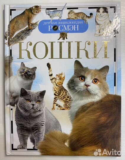 Энциклопедия росмэн