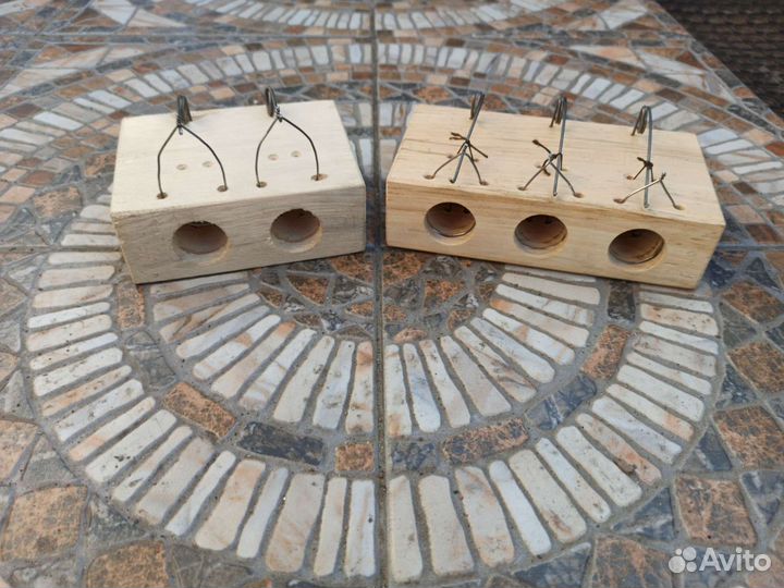 Мышеловка. Мышеловка-норка