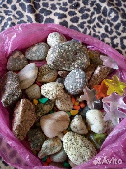 Галька, ракушки