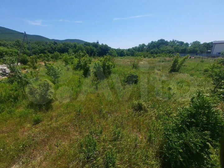 Участок 6 сот. (ИЖС)