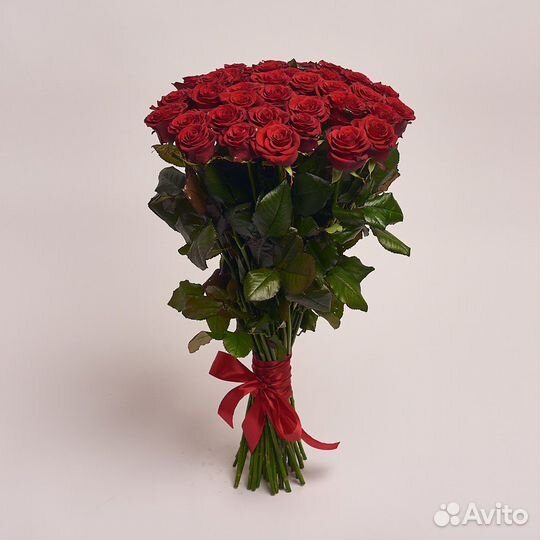 Роза 25 Роза 31 Роза 51 Роза 101 ароматная Роза
