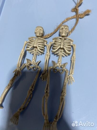 Скелеты украшение