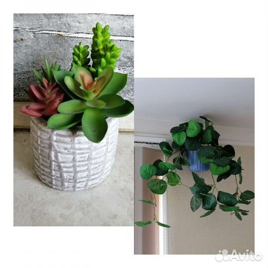 Искусственные цветы 2 штуки цена за всё