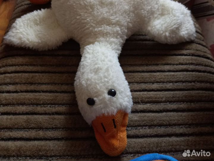 Гусь обнимусь