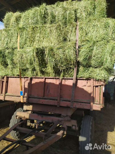 Сено в тюках и рулонах 2023г от заготовителя