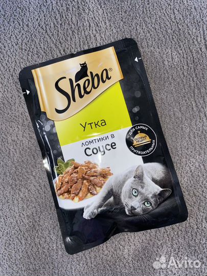 Влажный корм для кошек