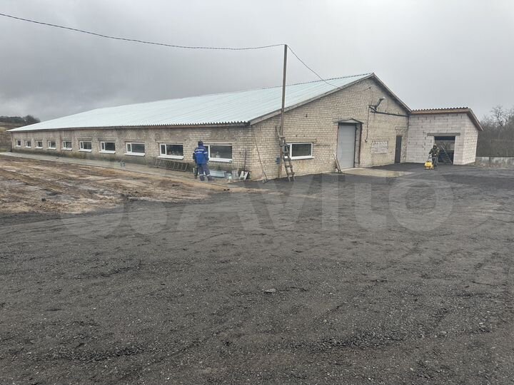 Свободного назначения, 1300 м²