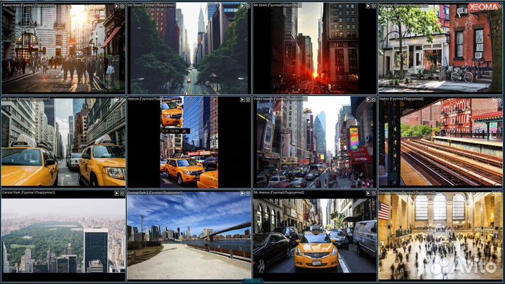 Программа для видеонаблюдения Xeoma Standard 64к