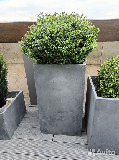 Кашпо из бетона для цветов с гарантией