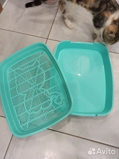 Лоток для кошек и спрей для приучения к туалету