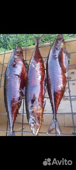 Копченая рыба