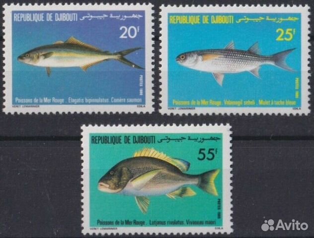 Кокосовые о-ва 1979-80 гг. Фауна Рыбы MNH