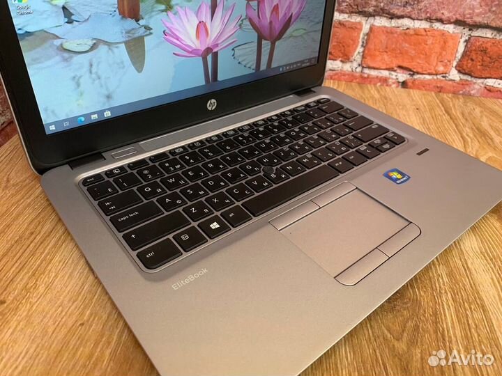 Для работы учебы игр HP EliteBook 725 Ноутбук SSD
