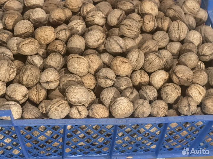 Грецкий орех в скорлупе