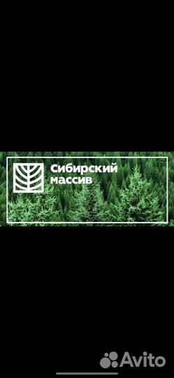Бригада, тракторист, вальщик, раскряжевщик