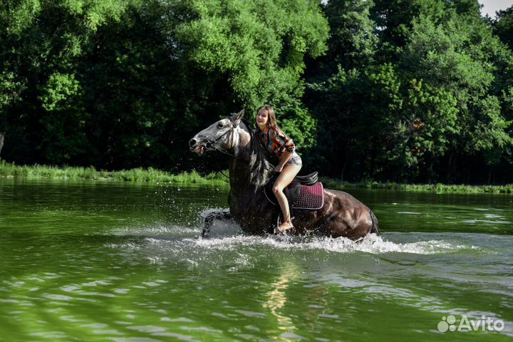 Конные прогулки в Саратове