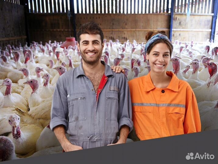 Грузчик/ разнорабочий вахта