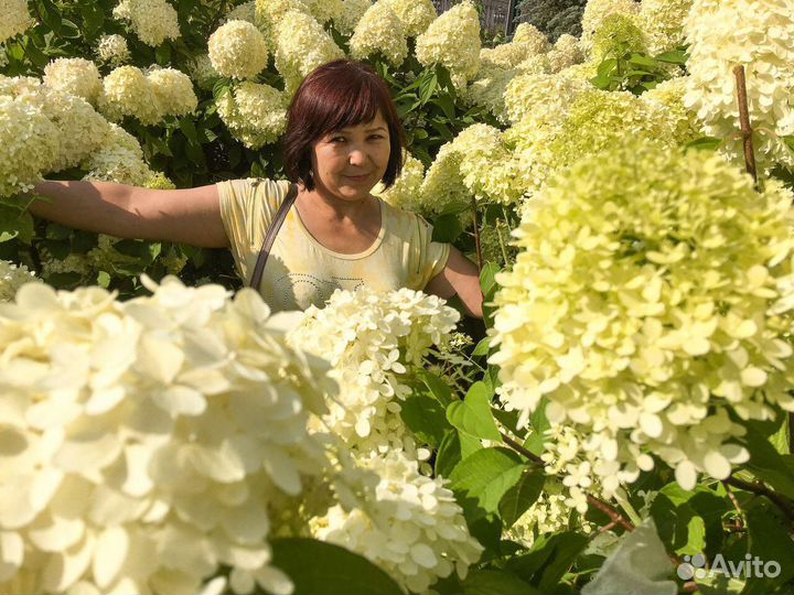 Домработница, домашний персонал