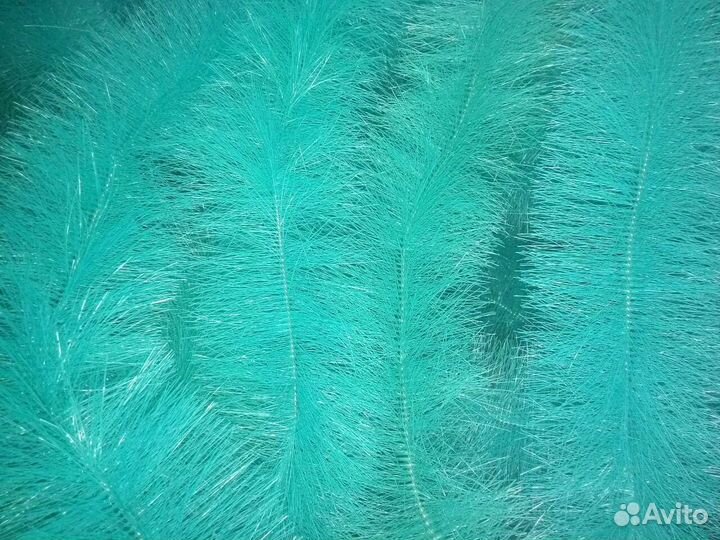 Септик энергонезависимый для дачи