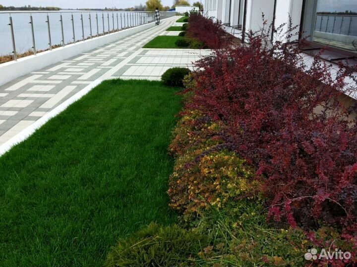 Спринклерный полив, монтаж автополива, автополив