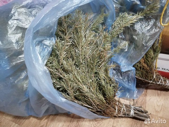 Веники для бани пихта