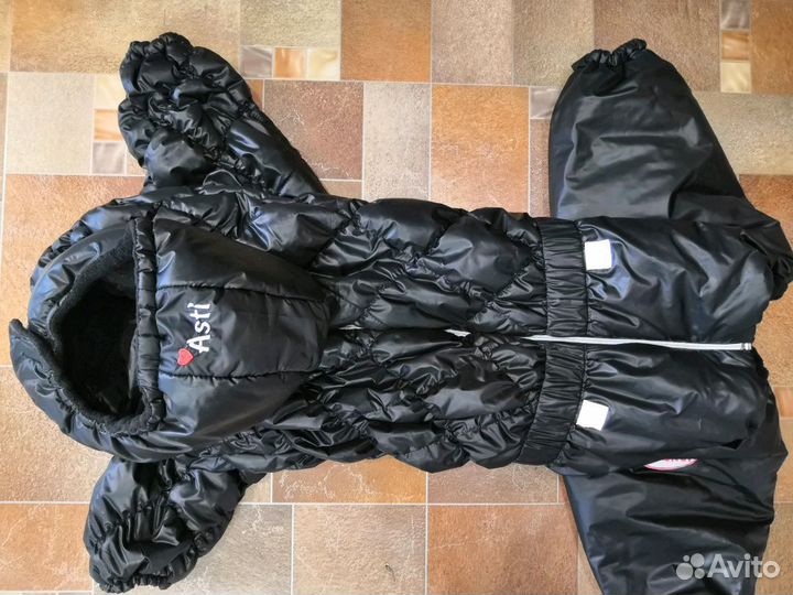 Одежда для собак