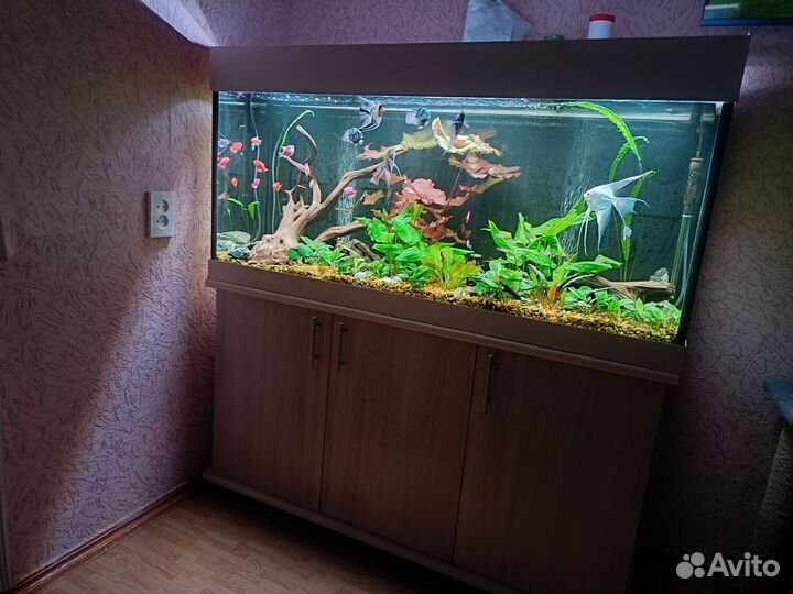 Украшение для аквариума
