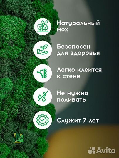 Панели из мха