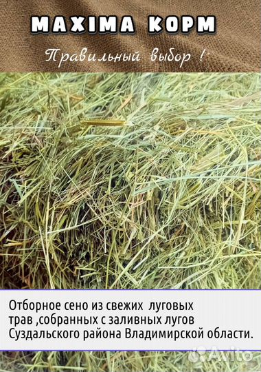 Сено для грызунов