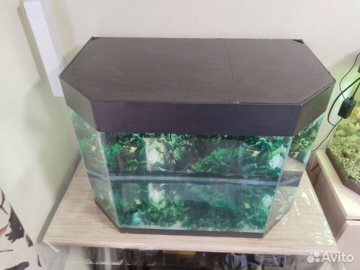 Аквариум