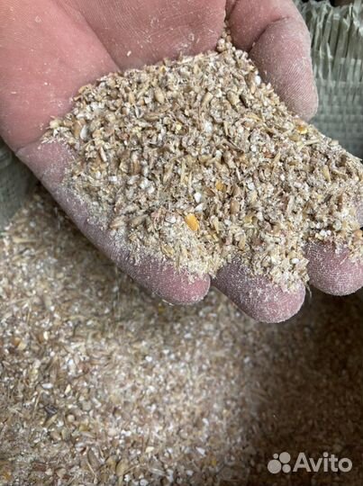 Зерно дробленное (кормовая смесь) 15р/кг