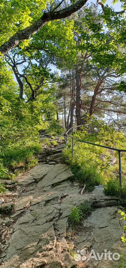 Поход в Сочи на рассвете с завтраком