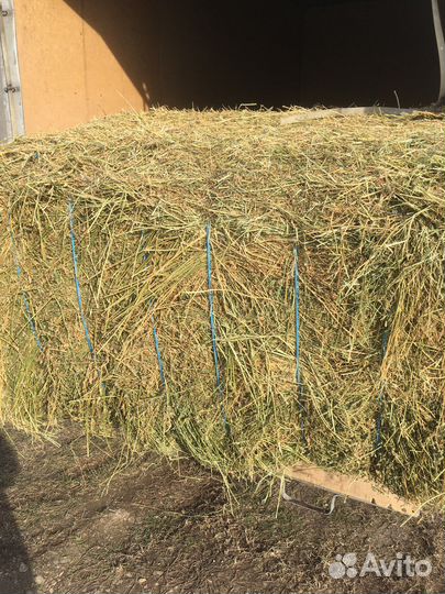 Корм для сх животных (сено)